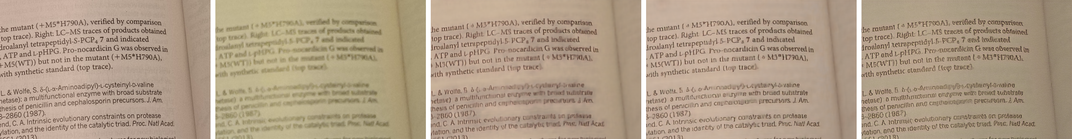 Comparison of images of text in a book
