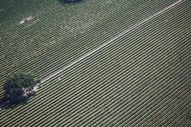 farmland