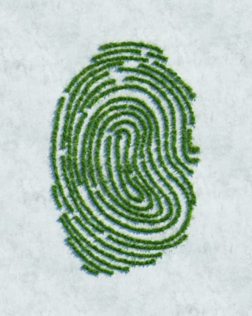 green fingerprint