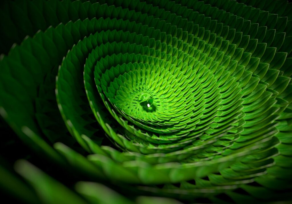 A close up of a green leaf