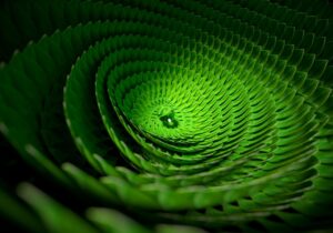 A close up of a green leaf