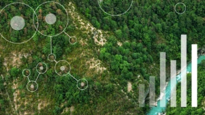 image of trees