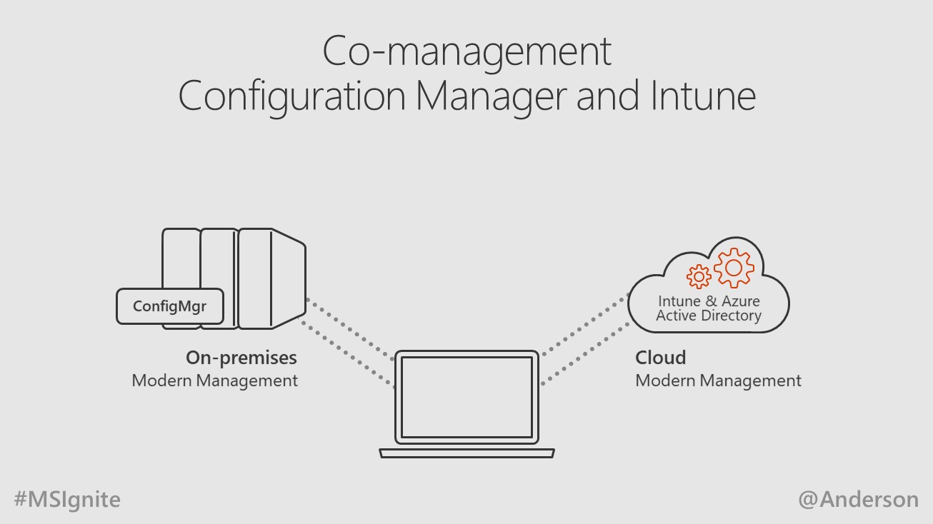 Co-Management