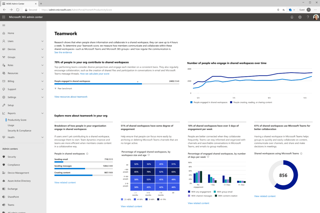 Screenshot of Teamwork Productivity Score