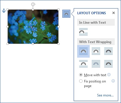 Layout Optons Call-out Layout Options