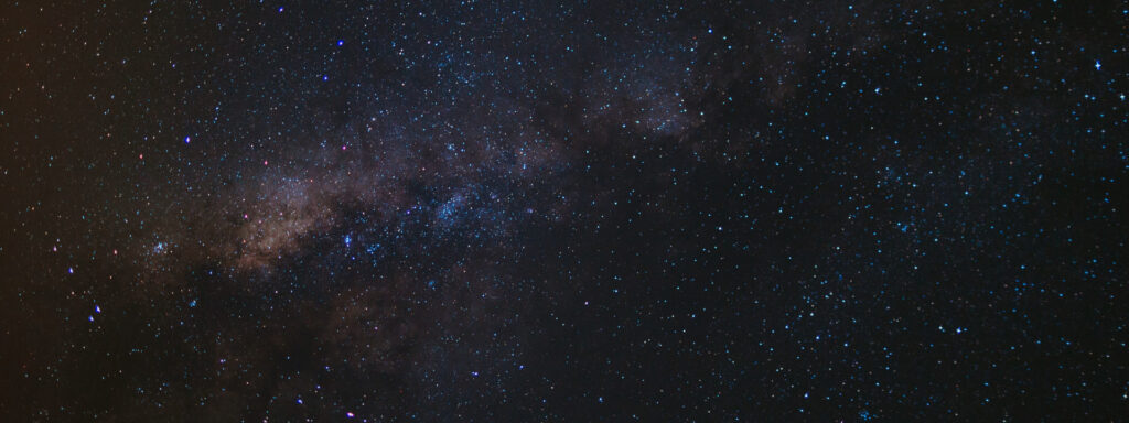 2021 fellow banner