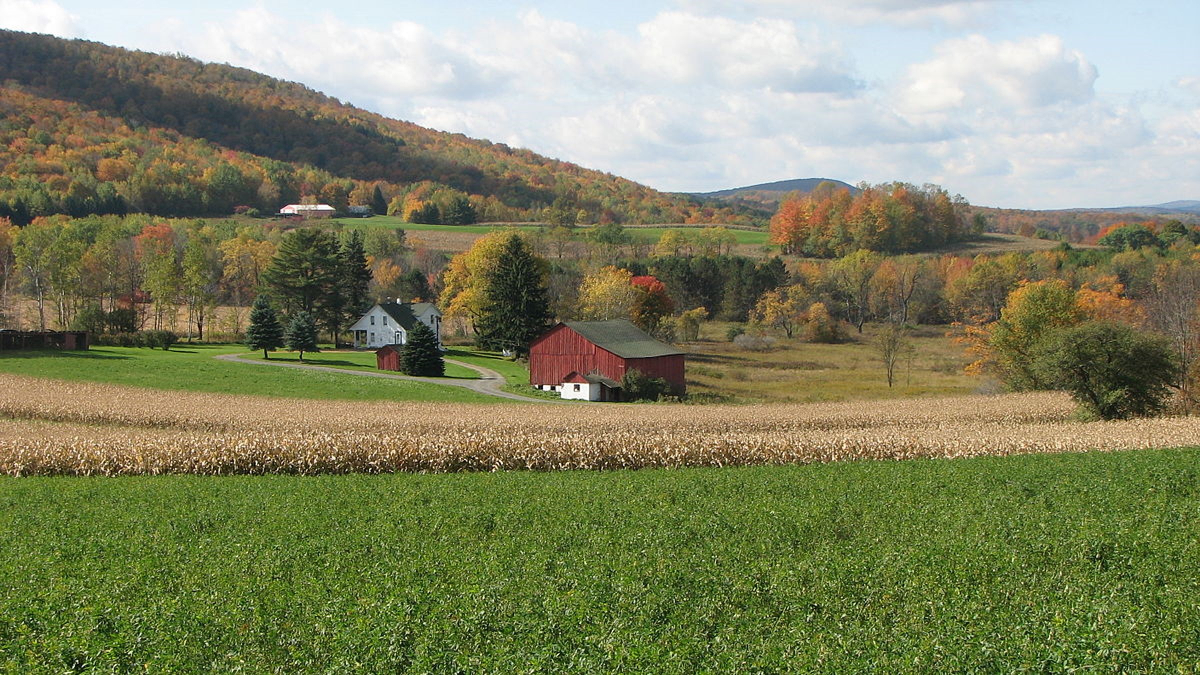 Micro-climate Prediction on Farms