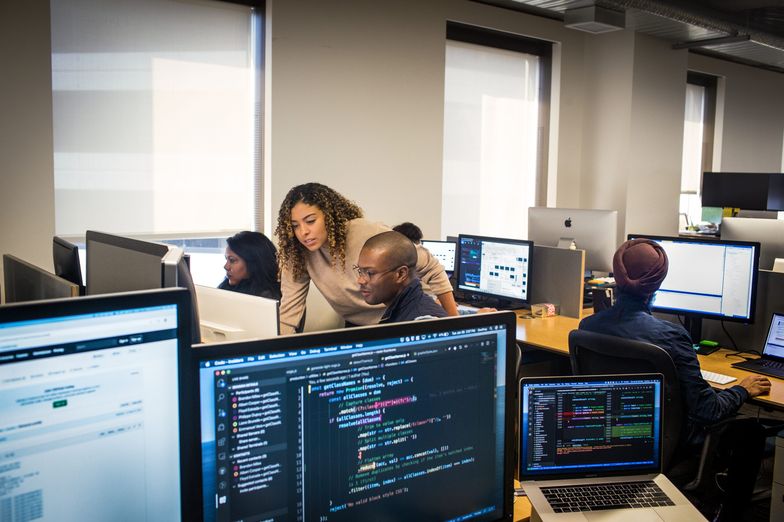 A professional software development team