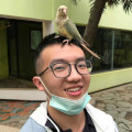 Ziming Liu