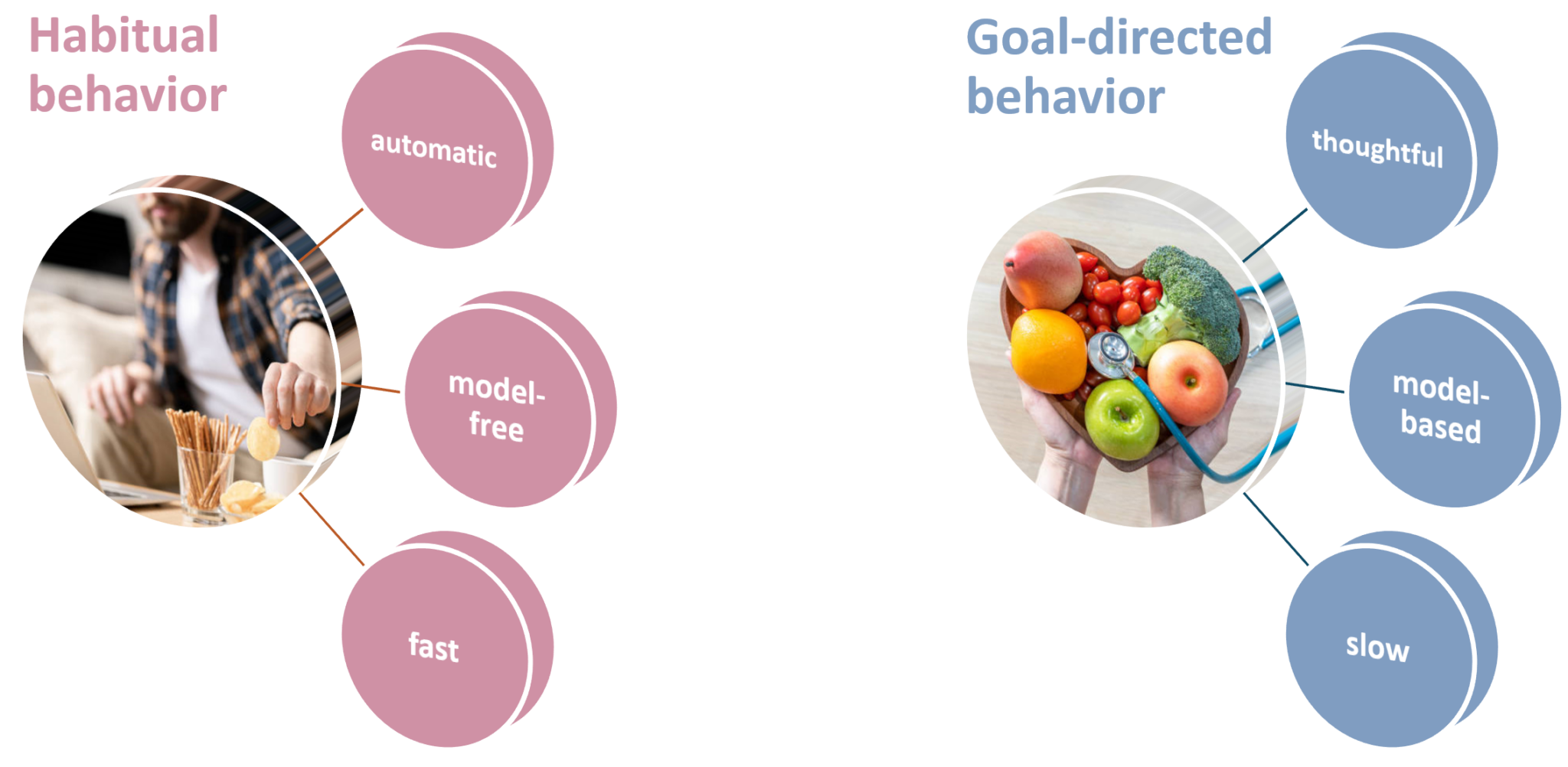 Synergizing Habits and Goals with Variational Bayes | diagram