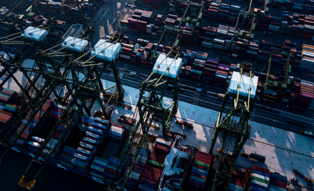Image of cranes.