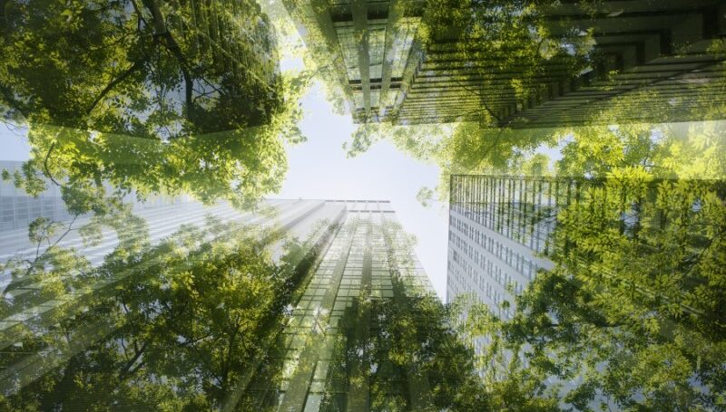 Upward view through skyscrapers and tree canopy.