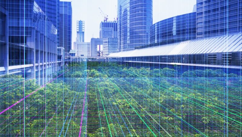 View of data network between modern buildings.