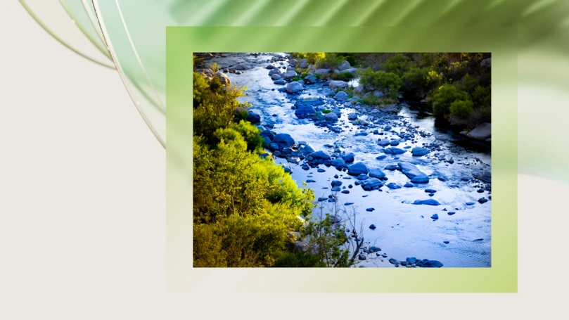 A decorative image of water flowing in a stream