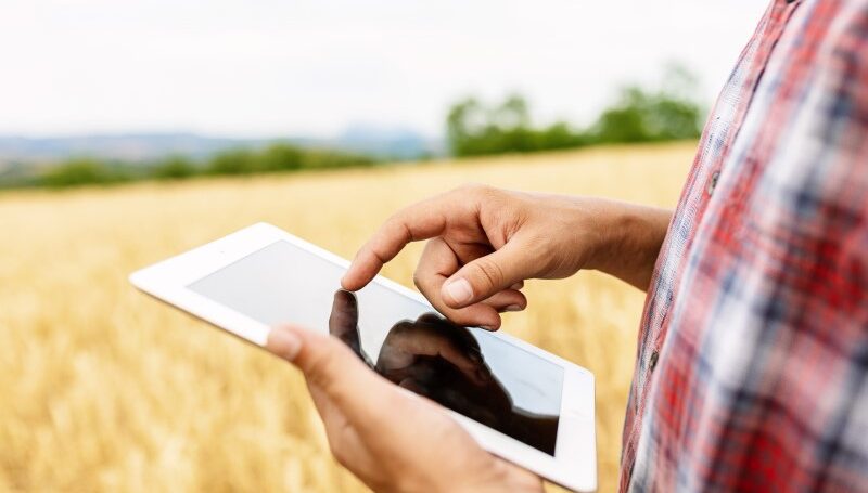 Closeup of person using tablet in a field
