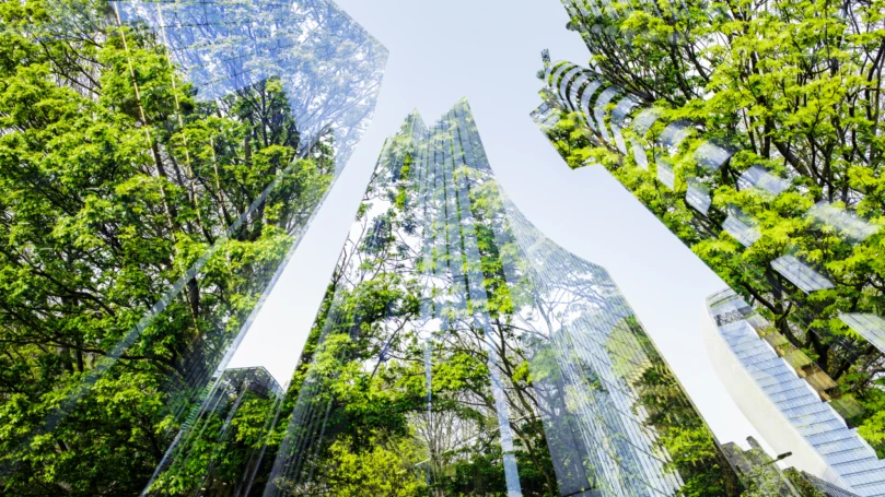 A decorative image of skyscrapers with trees reflected in them