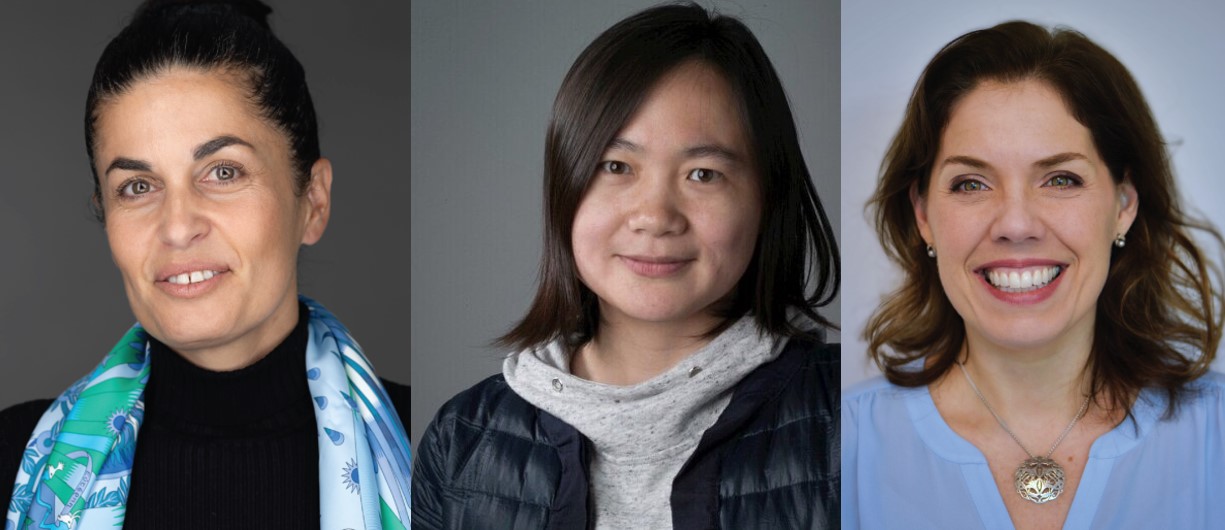 Collage of portrait photos showing Sisson, Zhou, and Bush.